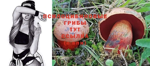синтетический гашиш Верхний Тагил