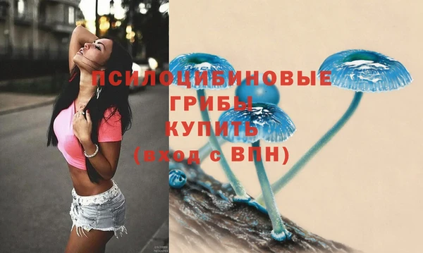 синтетический гашиш Верхний Тагил
