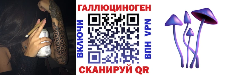 Псилоцибиновые грибы Psilocybe  Луга 